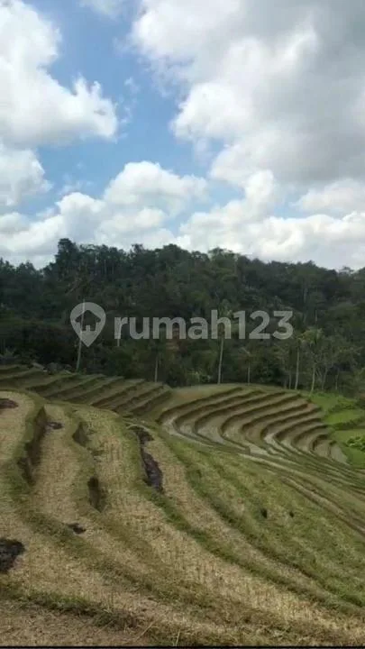 Di Jual Tanah dengan Harga Yg Murah dengan View Yg Sangat Indah - Image 1 of 4
