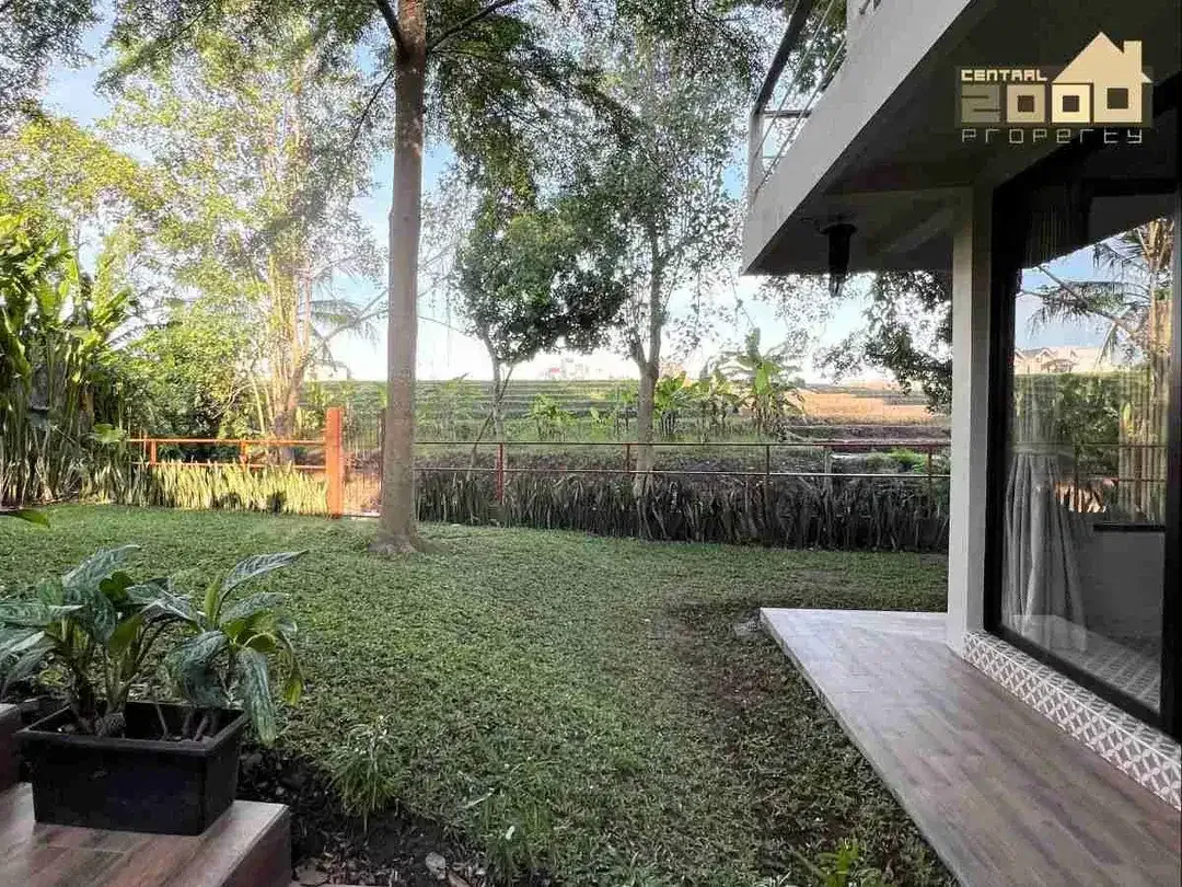 High-Value Investment Land in Pererenan – Green Belt View, Freehold - Image 2 of 7