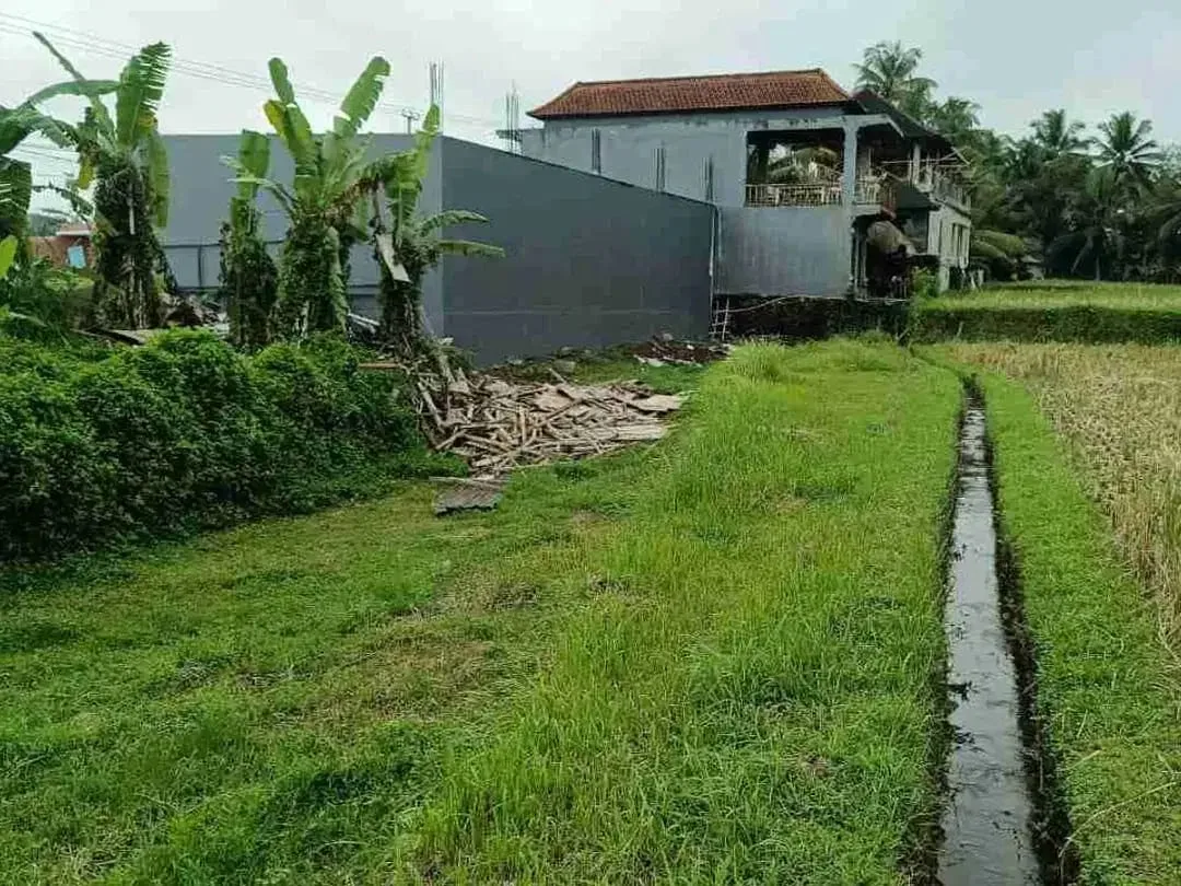 Tanah Pinggir Jalan Raya Sebali Ubud Full View Sawah - Image 4 of 10
