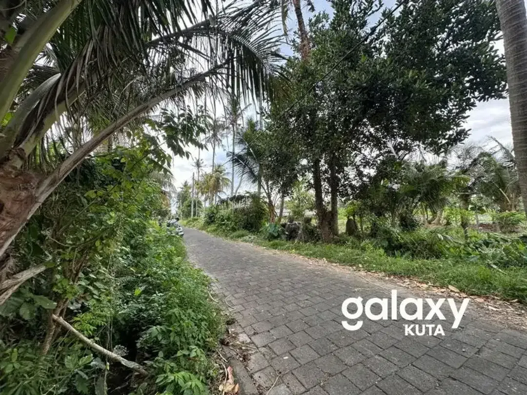 DIJUAL TANAH VIEW SAWAH DEKAT RS KASIH IBU DI TOJAN BLAHBATUH - Image 10 of 10
