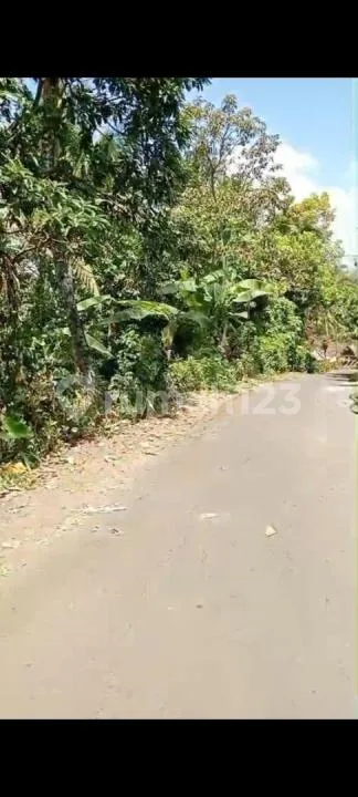 Jual Tanah Kebun Murah di Tabanan - Image 3 of 4