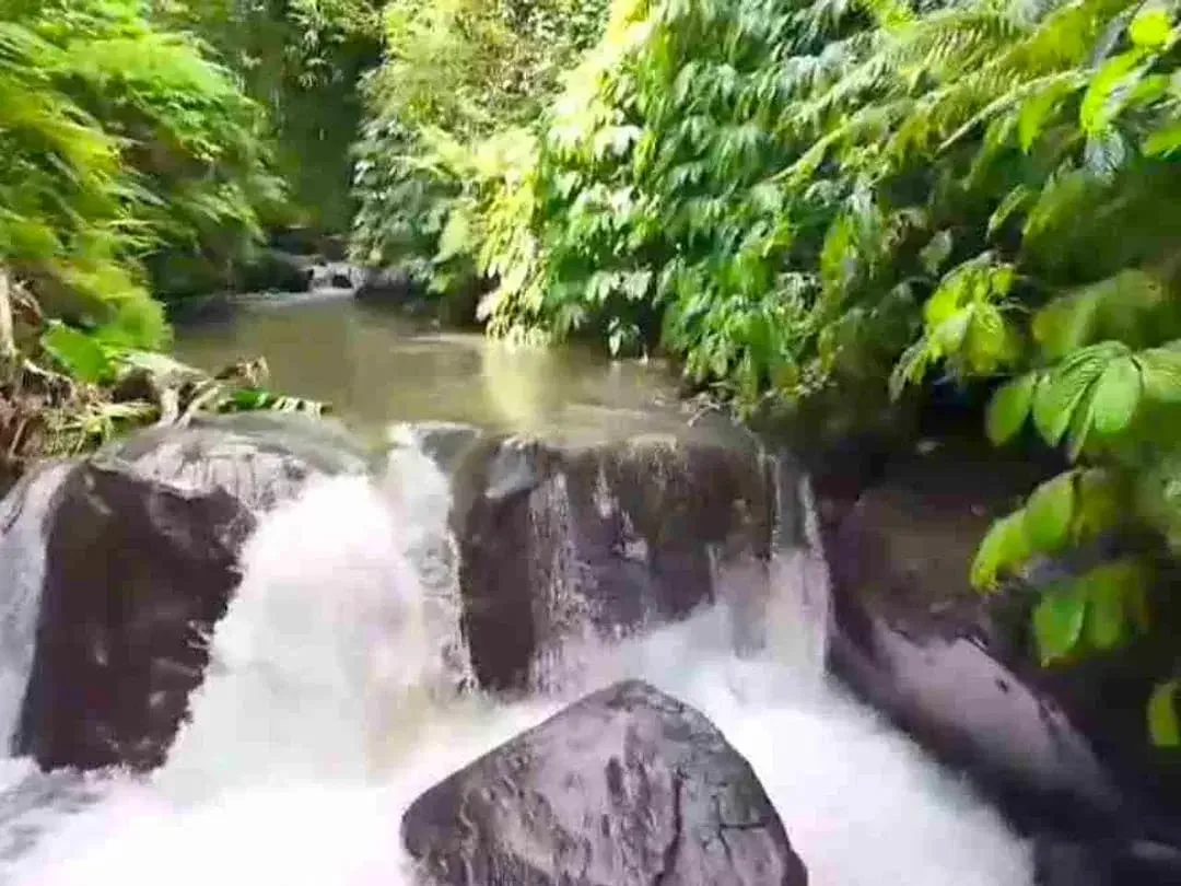 Tanah Riverside Buahan Ubud 500 mtr Hanging Garden hotel - Image 1 of 10