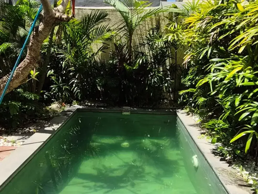 Rental - Private home, Quiet, and Close to Canggu, Bali - Image 2 of 10
