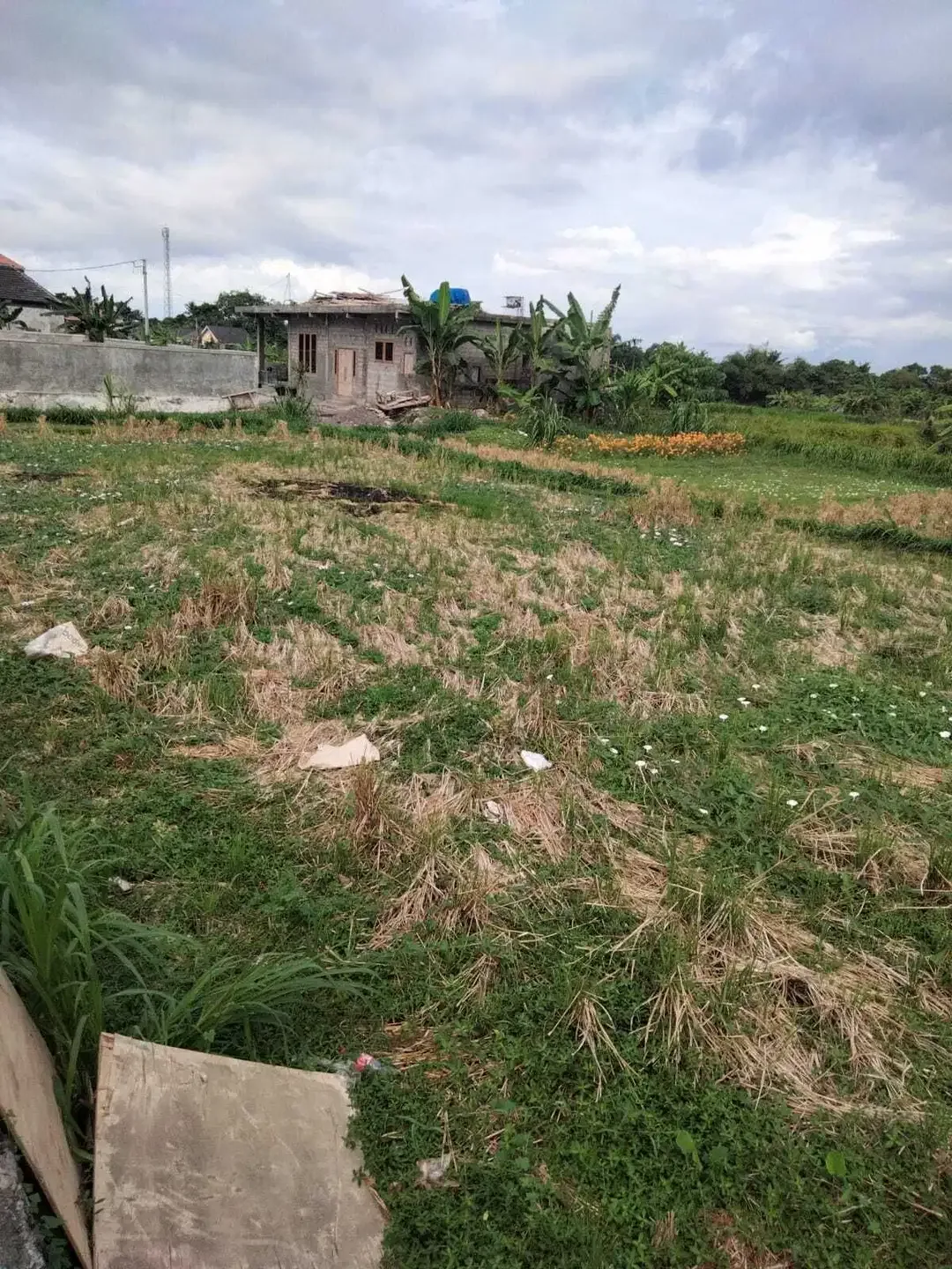 1,5 are Full View Ocean dan Sawah di Gianyar Bali - Image 6 of 6