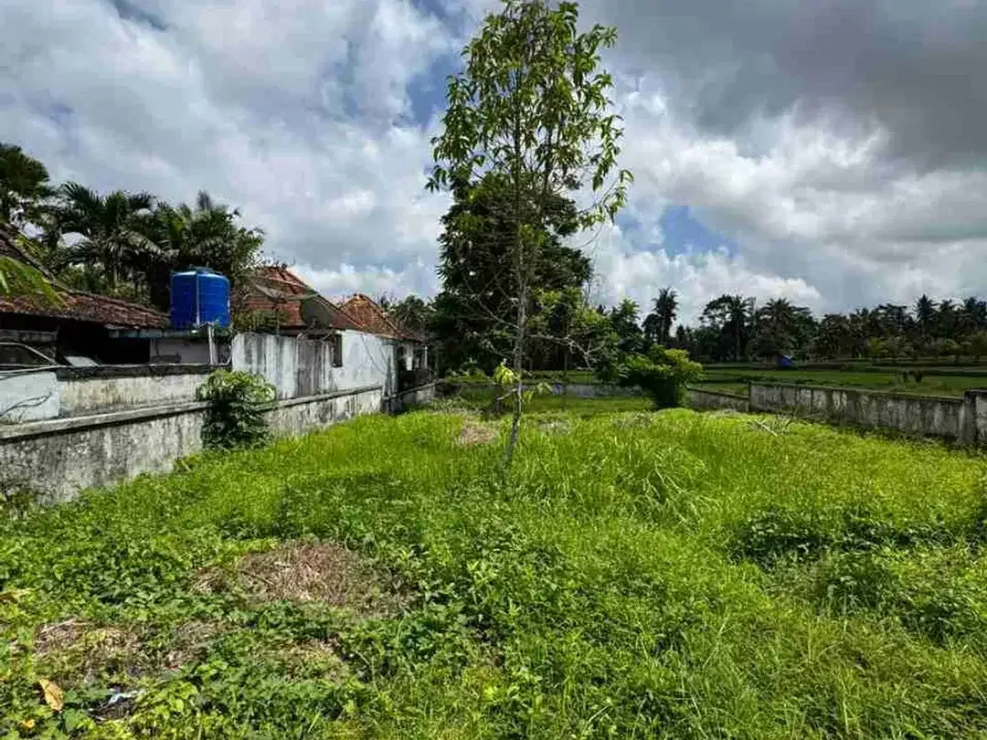 Tanah View Sawah Abadi Bonus Rumah Style Vila di Ubud - Image 10 of 10