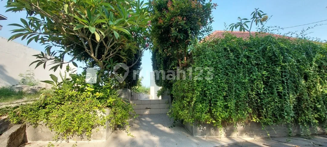 For Rent Brand New Landed Apartment 2Bedroom Non Furnish At Bale Village Canggu Furnished - Image 4 of 4