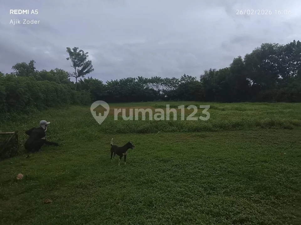 Tanah Los Pantai Strategis Luas di Negara, Jembrana - Image 2 of 4