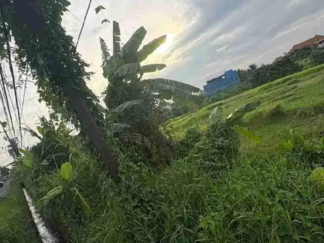 Tanah Komersial 2.650m² Jalan Raya Pantai Nyanyi - Image 10 of 10
