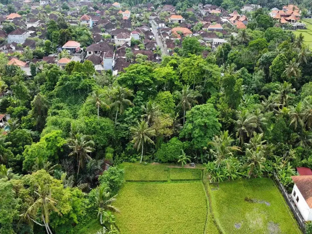 Tanah Murah di Sentral Ubud Dekat Restoran dan Fasilitas Umum - Image 7 of 10