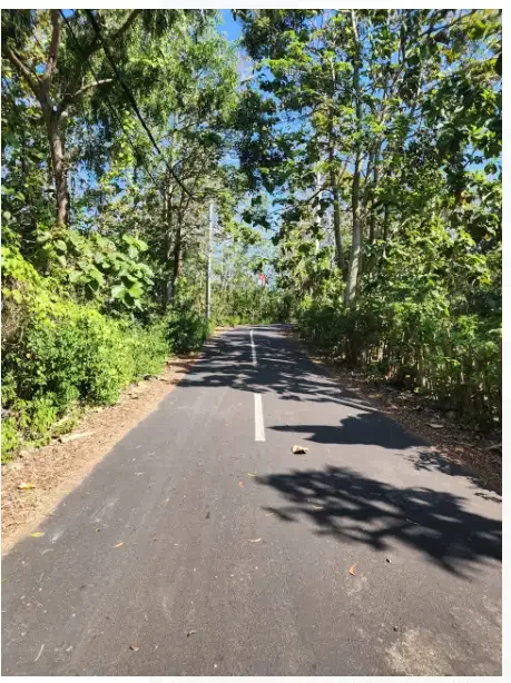 Tanah di Jl Belong Bunter Pecatu - Image 4 of 10