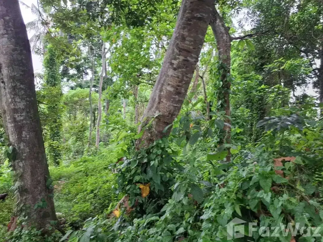Land for sale in Ubud, Bali - Image 5 of 10