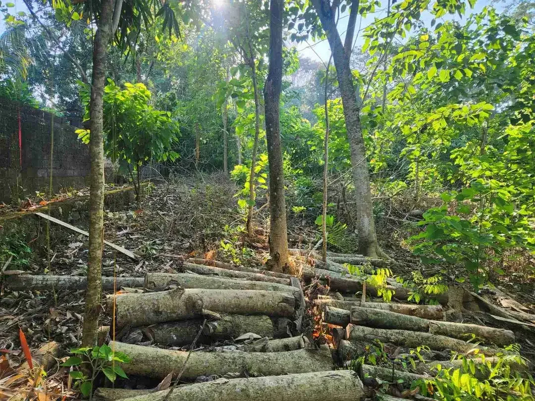 TANAH DEKAT NYANYI KEDUNGU TANAHLOT COCOK UNTUK VILLA ATAU KAVLING VILLA PANDAK TABANAN - Image 1 of 9