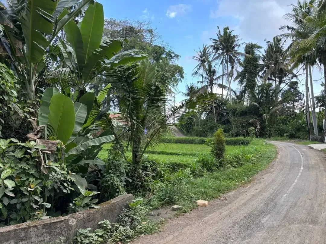 Tanah View Sawah Indah di Singakerta Ubud Bali - Image 5 of 8