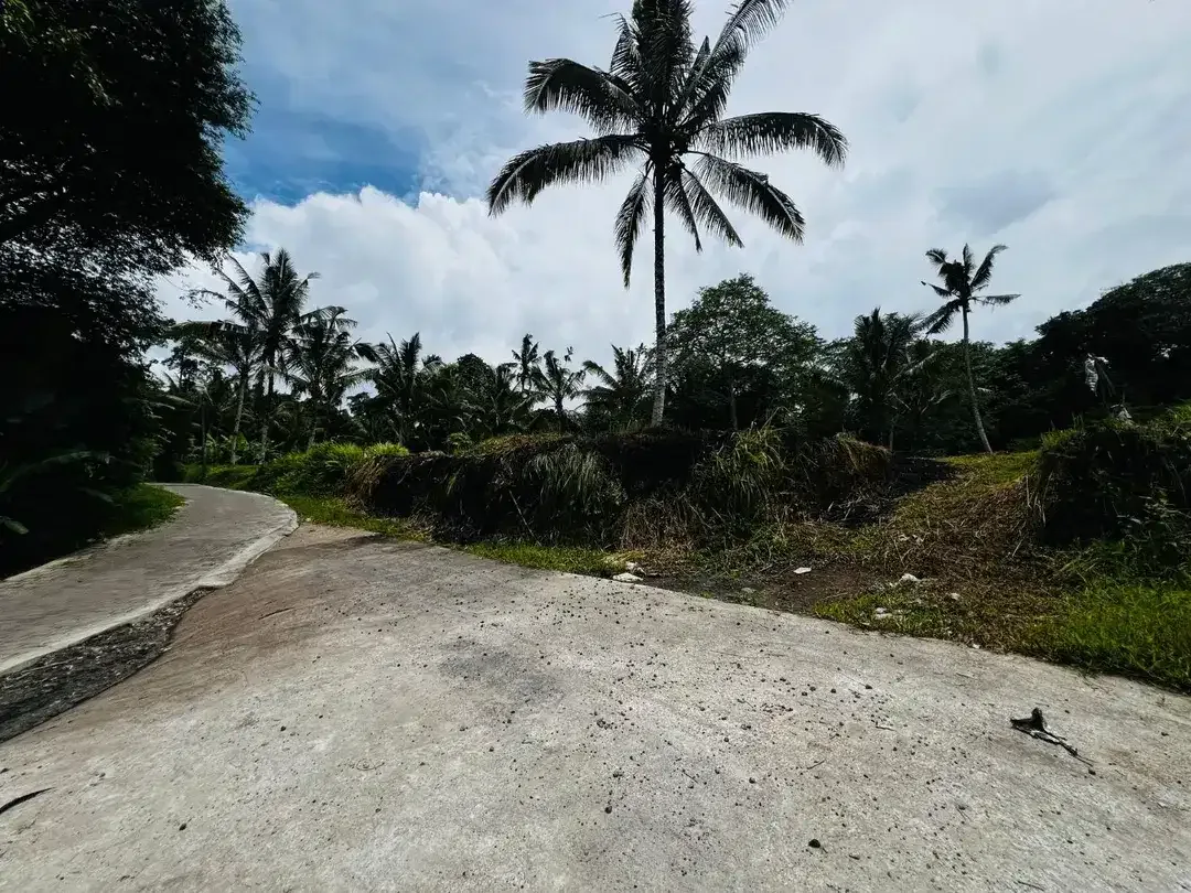 Tanah jungle payangan ubud - Image 7 of 9