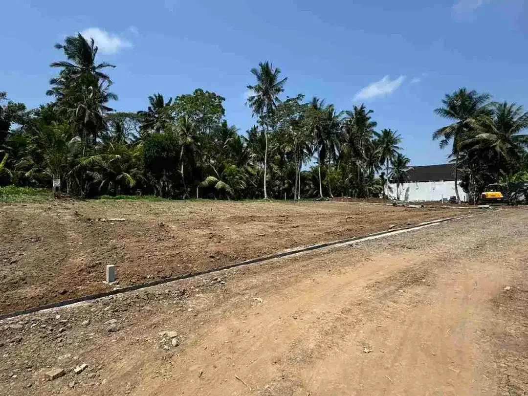 Tanah 300m² View Jungle di Sakah Ubud Gianyar - Image 4 of 10