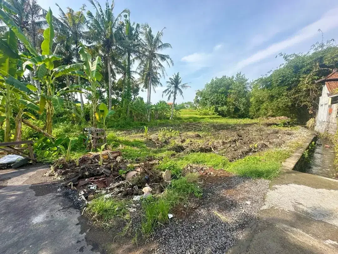 Freehold - Startegic and in By Pass Tanah Lot - Image 2 of 8