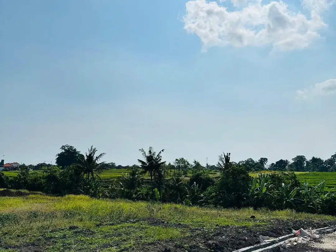 LAND FOR SALE KEDUNGU RICEFIELD VIEW SUROUND - Image 9 of 10