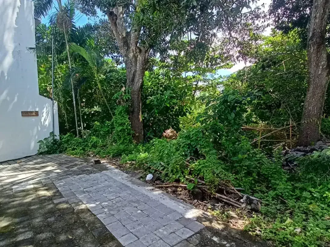 Leasehold - Prime 1300 sqm Leasehold Land in Umalas, Bali - Image 2 of 5