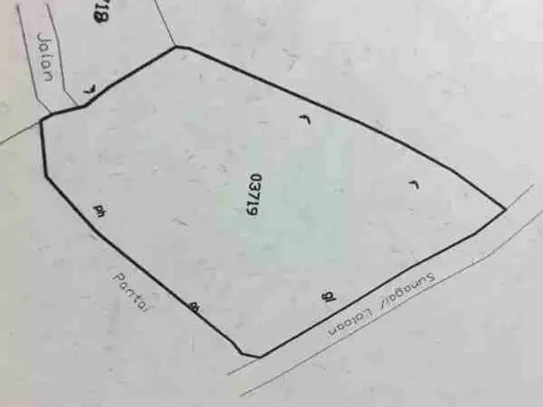 dijual tanah 1975 m² IDR 650 juta per are los pantai pabean Gianyar  Bali - Image 5 of 6