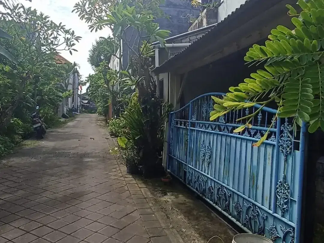 Leasehold - Affordable 3-Bedroom House in Canggu, Bali - Image 2 of 6