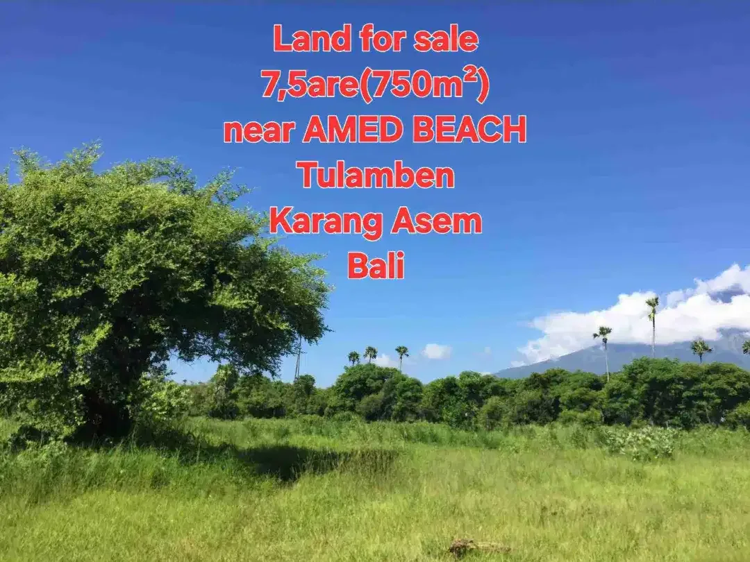 LAND FOR SALE 7,5 ARE view AMED BEACH, Tulamben KARANG ASEM BALI - Image 9 of 10