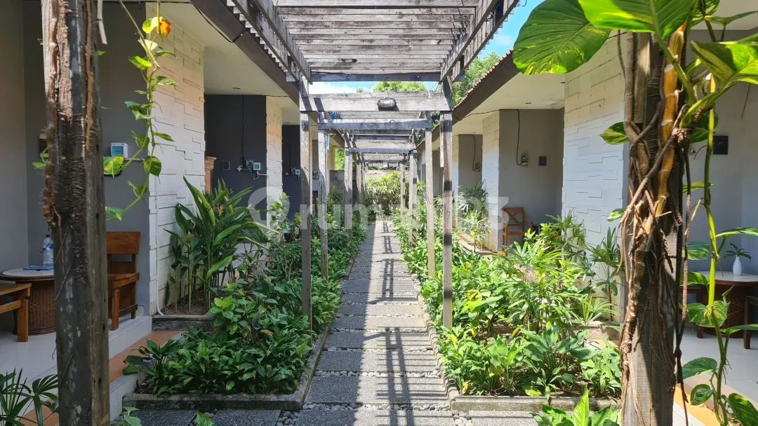 Guest House and Joglo close to Petitenget Seminyak - Image 2 of 4