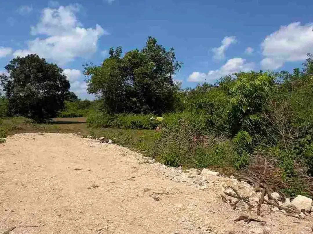 Dijual Murah Tanah 400m2 Cocok Untuk Investasi - Image 1 of 9