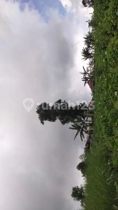 Dijual Lahan Tanah Di Jl. Asah Gobleg.banjar.buleleng. Bali - Image 2 of 4