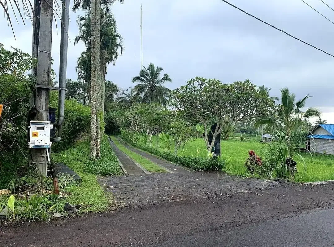 Tanah Murah sebelah Villa Awan Biru Ubud - Image 1 of 5