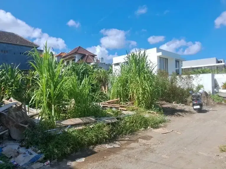Dijual tanah premium di padonan canggu bali - Image 1 of 8