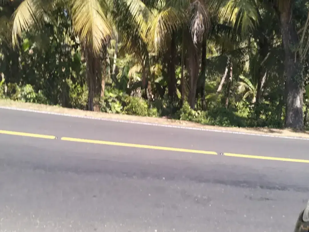 DIJUAL TANAH STRATEGIS – GUMBRIH, JEMBRANA - Image 1 of 4