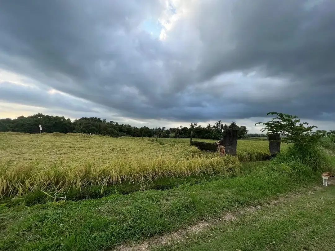 Dijual tanah dekat pantai Klecung Tabanan - Image 2 of 3