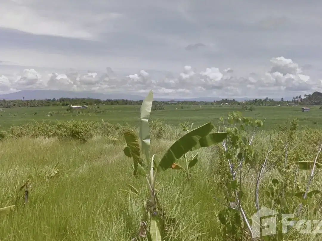 Land for sale in Cemagi, Bali - Image 1 of 6