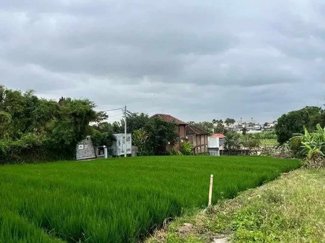Premium 7.58 Are Freehold Rice Field View Land For Sale In Berawa - Image 8 of 8