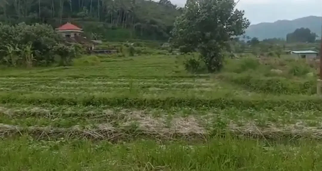 Land 36a for Sale close to Sidemen Traditional Village Bali - Image 4 of 10