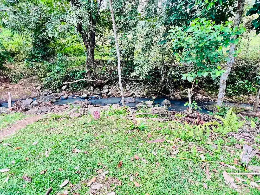 jual tanah Los sungai cantik di kawasan villa di desa manikyang tabanan bali. - Image 5 of 10