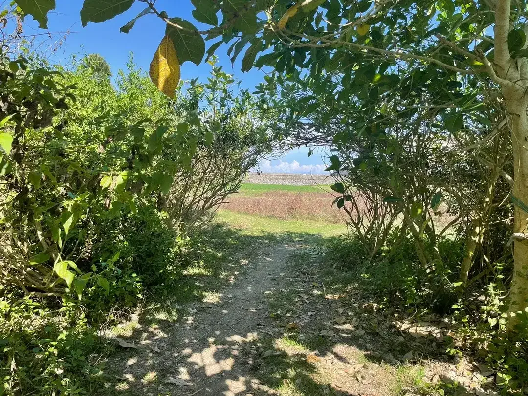 Beachfront For Sale Freehold in Ketewel Beach - Image 8 of 8