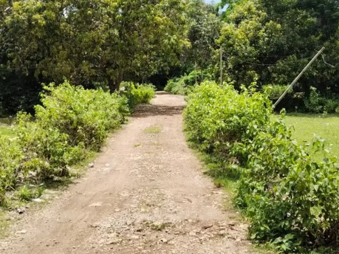 TANAH DEKAT PANTAI BALANGAN DI JIMBARAN BADUNG, BALI - Image 4 of 5