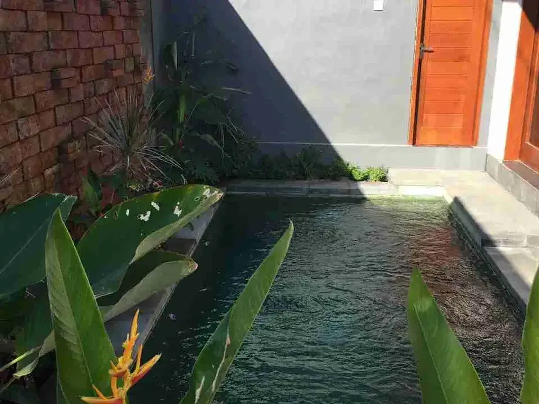 villa jalan Tukad bilok sanur bali - Image 2 of 10