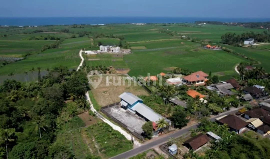 Di Jual Tanah Murah Dekat Pantai Pasut Tabanan Sangat Cocok untuk Komplex Villa - Image 3 of 4