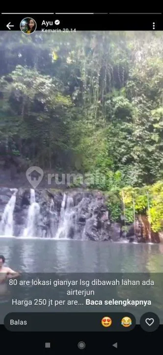 Tanah View Sungai Hutan Airterjun Harga Murah - Image 2 of 4