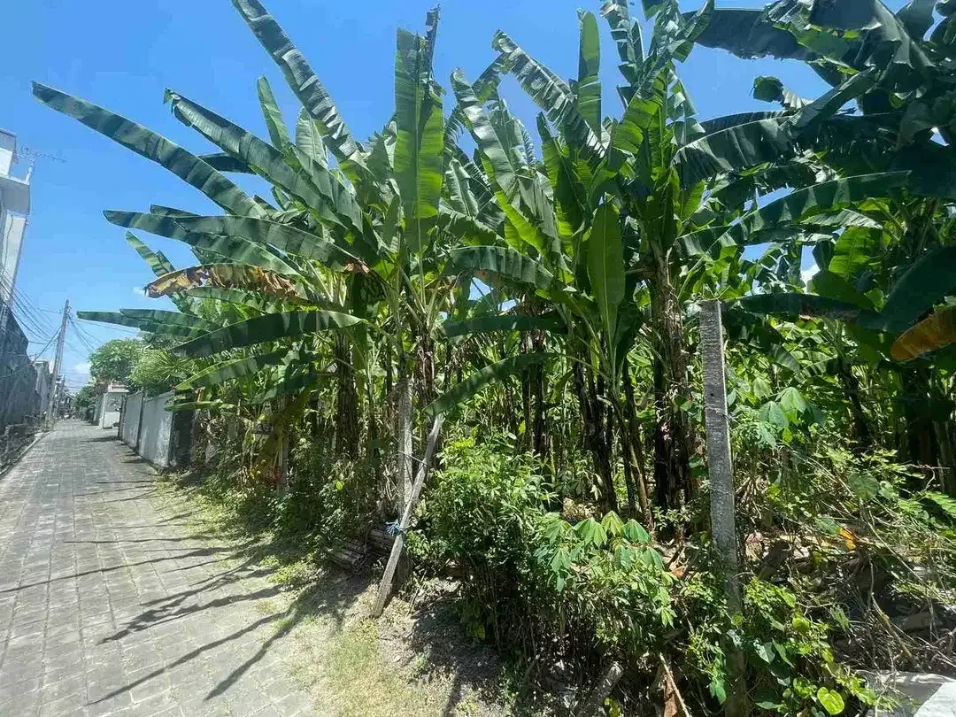 DIJUAL / FREEHOLD : Tanah Kecil Premium, 3,15 Are, Jl. Pantai Batu Belig Badung, Bali - Image 4 of 8