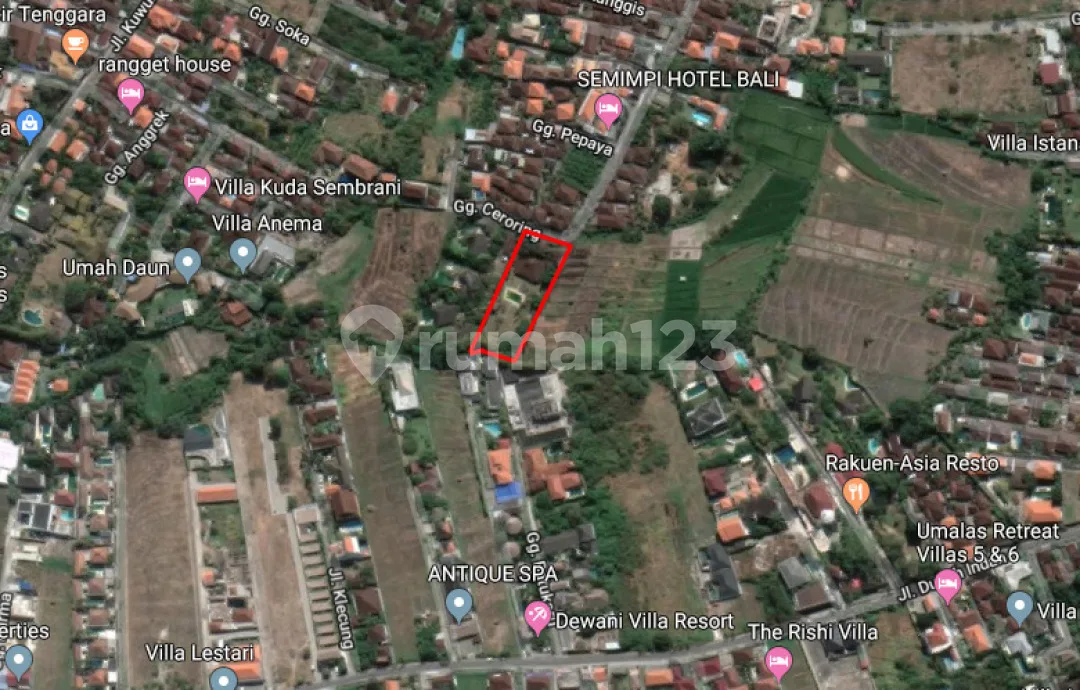 Tanah Dan Bangunan View Sawah di Banjar Semer Kerobokan - Image 2 of 4
