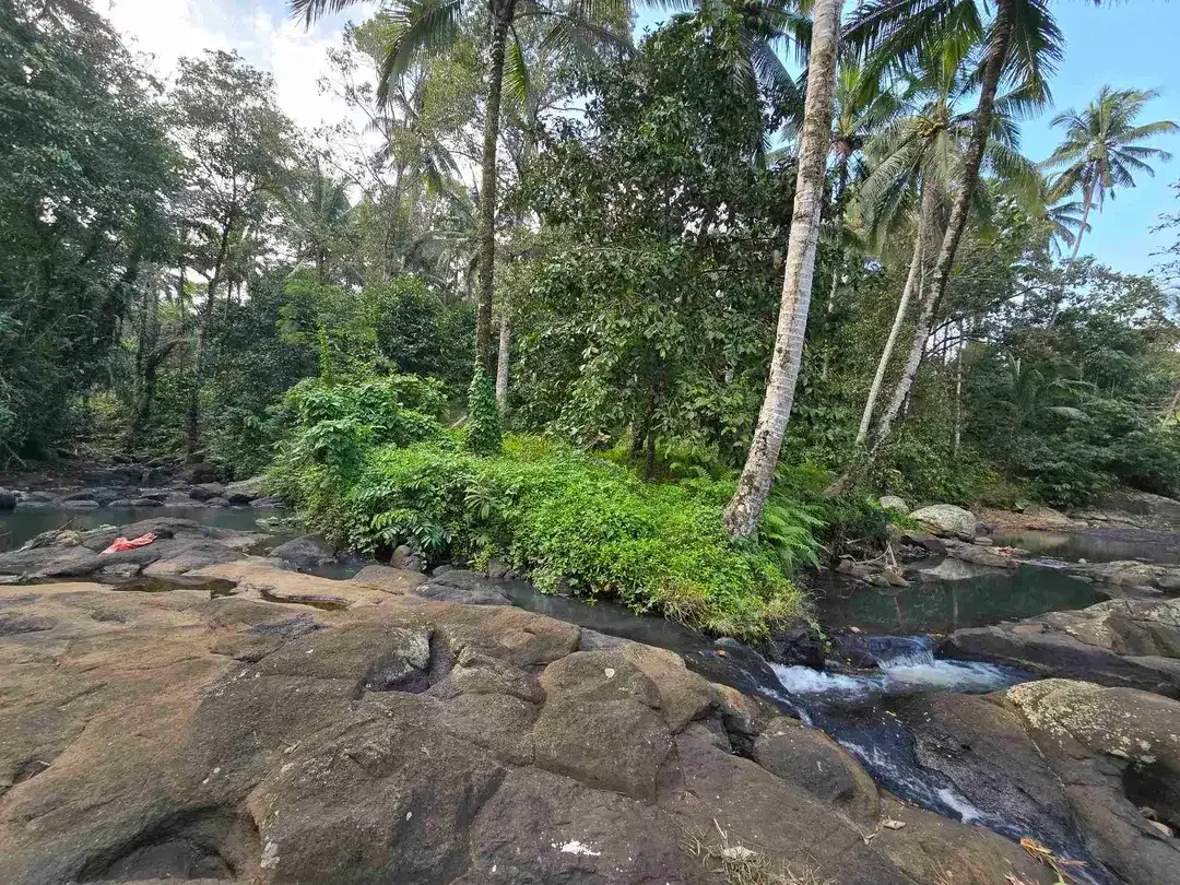 Murah tanah los sungai bebatuan kebun manggis dan durian siap panen di bali - Image 4 of 10
