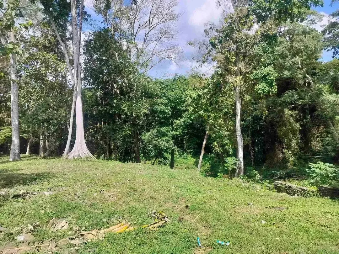 jual tanah premium.lok cepaka kaba kaba tabanan luas 3050m2 hrga 550jt/ are/100m2 - Image 3 of 10