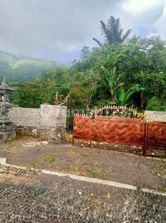 Tanah Komersial 6,5 Ha SHM Dekat Turyapada Tower Bali Utara - Image 2 of 4