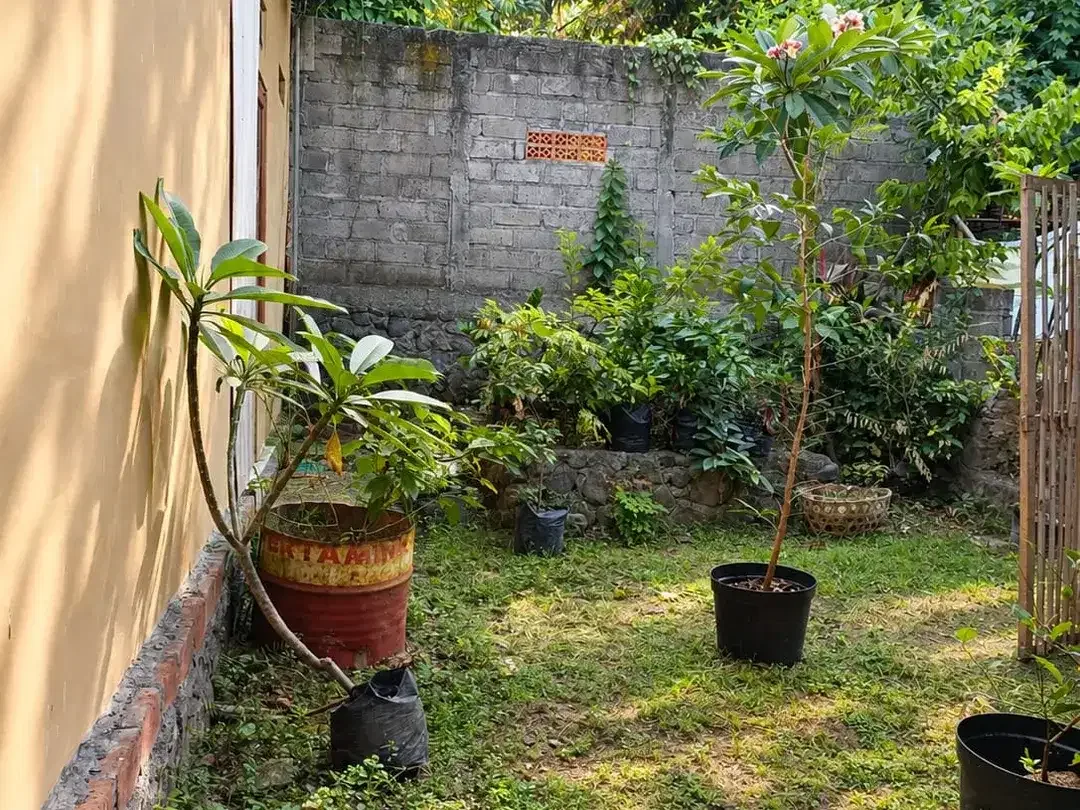 DIJUAL RUMAH PRIBADI  DESA PANJI BANGAH, SINGARAJA - Image 4 of 10