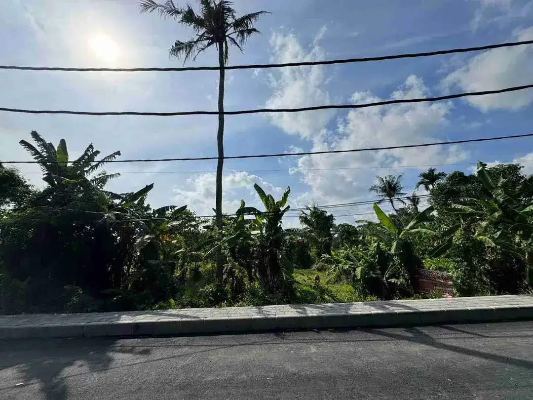 tanah bagus cocok untuk investasi dan villa - Image 3 of 6