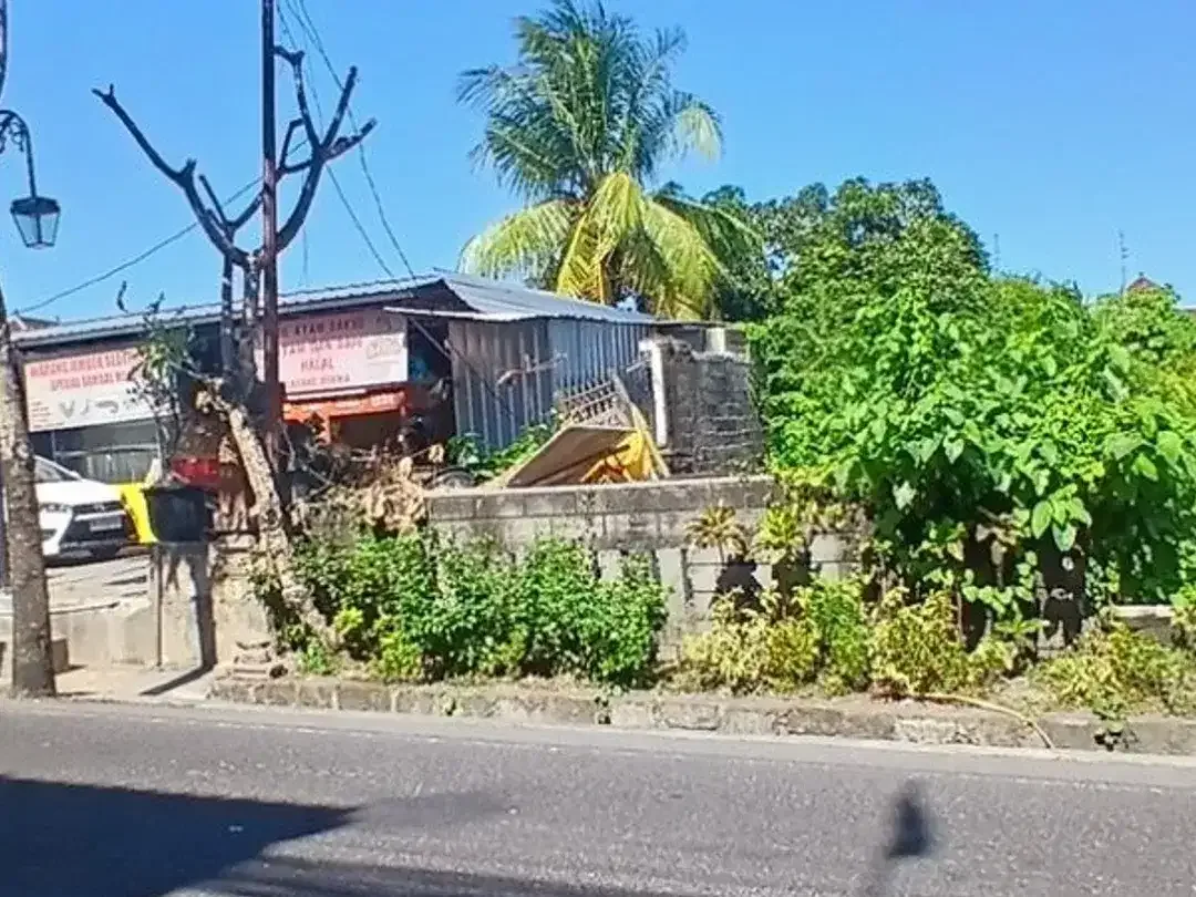 TANAH DI JUAL DI JL RAYA PADONAN CANGGU BADUNG - Image 4 of 8