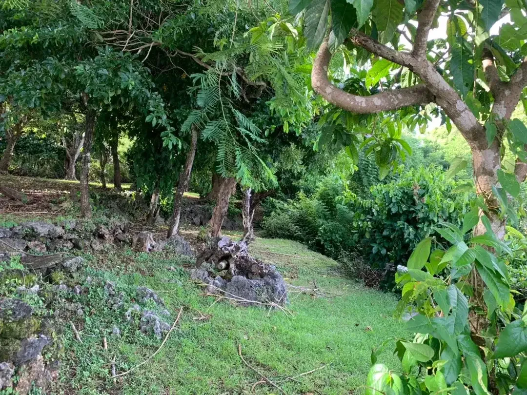 Tanah Tebing 2,79 Ha di Ungasan Beach Bali – View Laut, Zona Akomodasi Wisata - Image 2 of 7